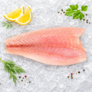 Okoń nilowy Twojerybki